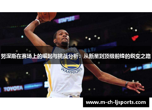 努涅斯在赛场上的崛起与挑战分析：从新星到顶级前锋的蜕变之路