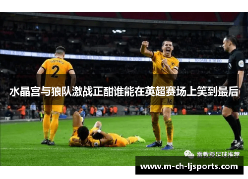 水晶宫与狼队激战正酣谁能在英超赛场上笑到最后